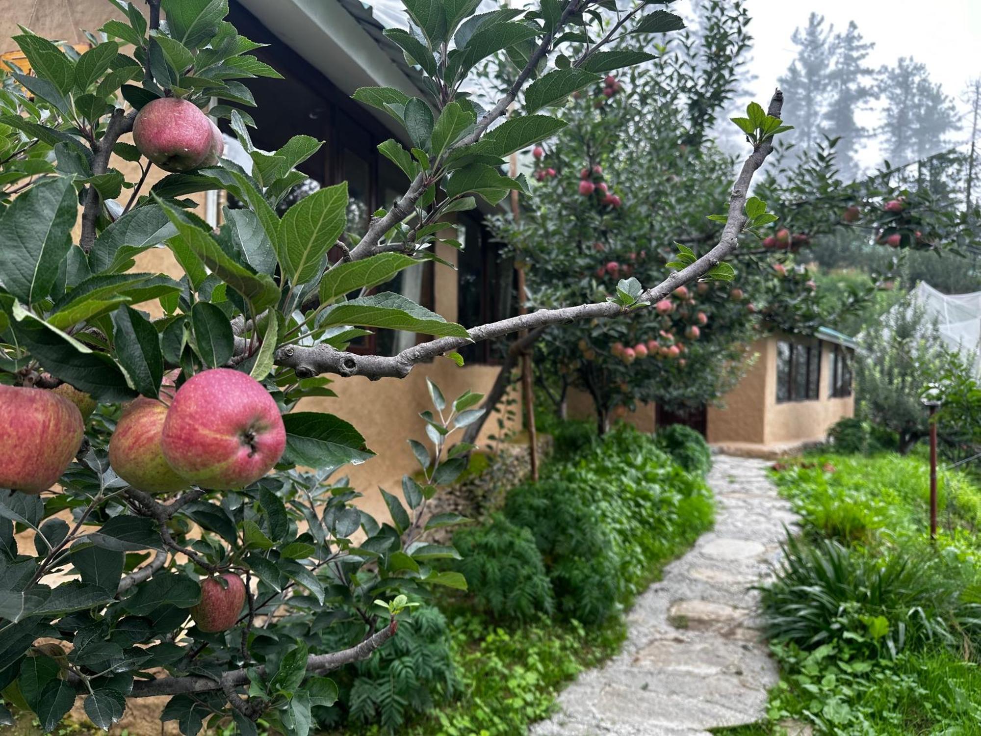 Daak Bangla Retreat Hotel Kufri Bagian luar foto