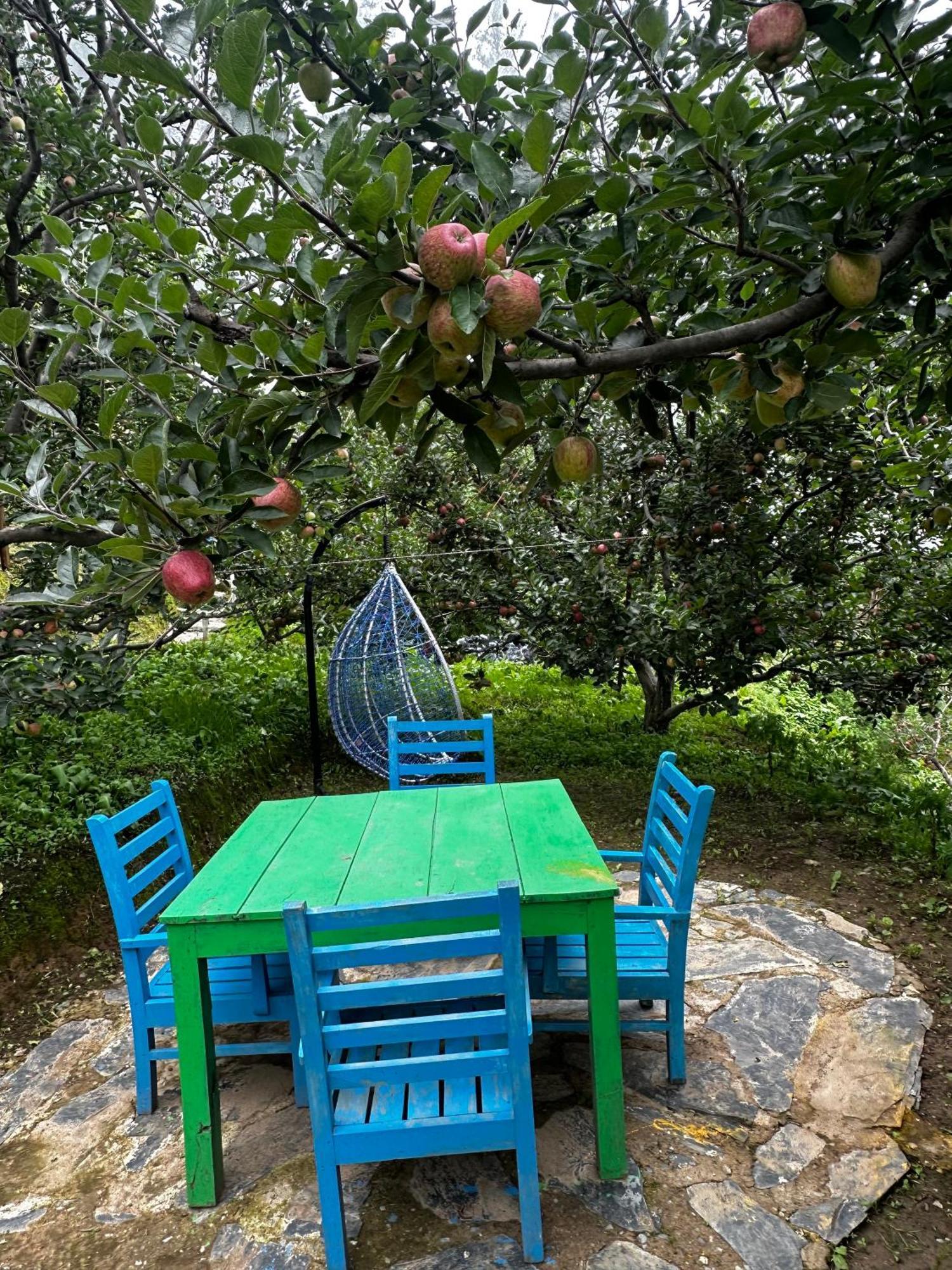 Daak Bangla Retreat Hotel Kufri Bagian luar foto