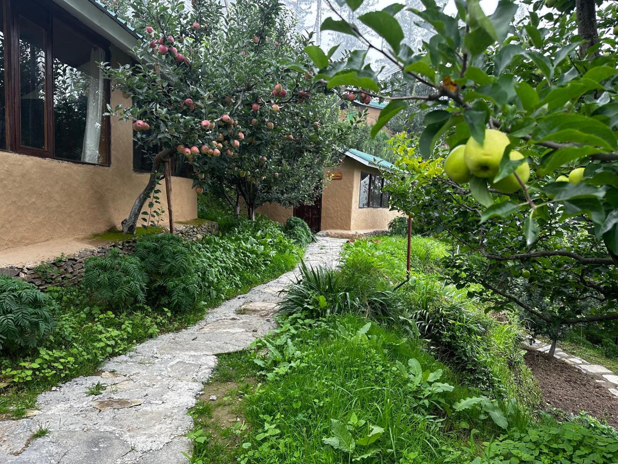Daak Bangla Retreat Hotel Kufri Bagian luar foto