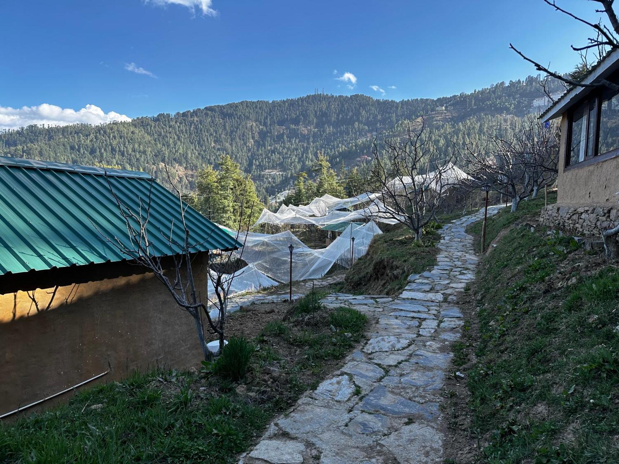 Daak Bangla Retreat Hotel Kufri Bagian luar foto